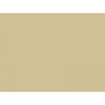 Металлочерепица Полиэстер RAL1015