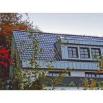 Черепица керамическая TIEFA SUPRA nr. 50 – schwarz