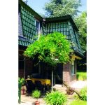 Черепица керамическая TIEFA XL VARIABEL nr. 121 – malachitgr?n