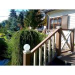 Перила Sequoia Evolution 3D WOOD 45х90х3000 WHITE