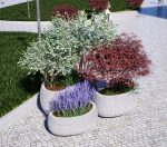 Вазон “Боб” малый 1000*610*350