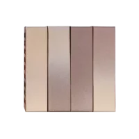 Кирпич керамический Latte Premium 1НФ