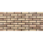 Кирпич керамический Latte Premium 1НФ
