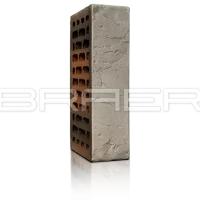 Облицовочный кирпич BRAER PRO 5.06